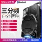 新科T20广场舞拉杆音响12寸户外拉杆音箱重低音大功率厂家